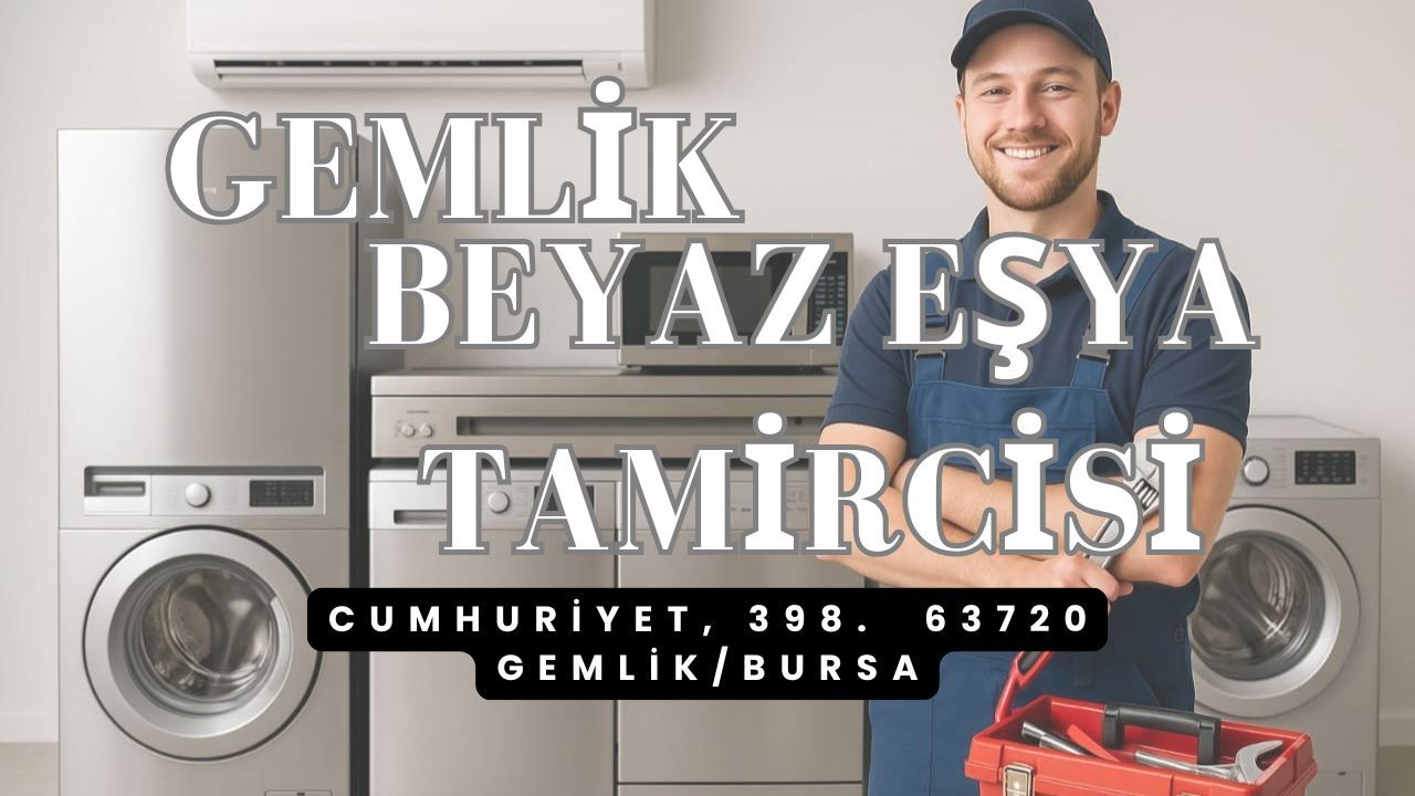 Gemlik Bulaşık Makinesi Tamircisi